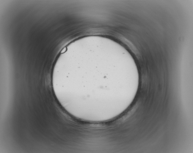 X0000111501465200908041152