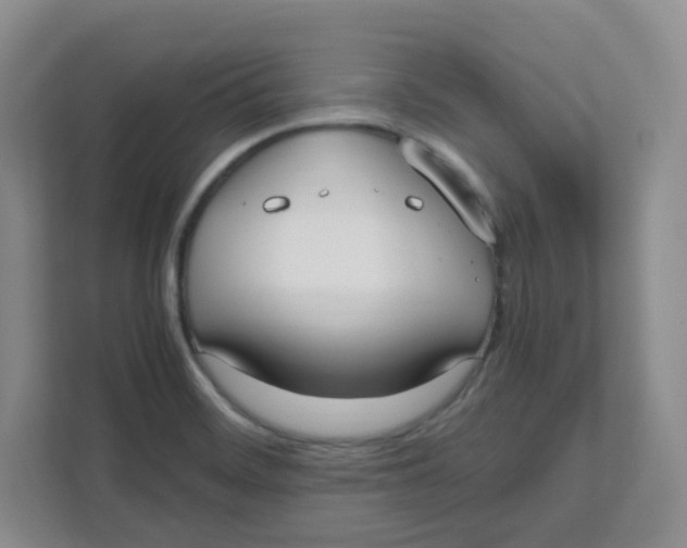 X0000111501468200908041152