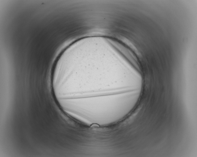 X0000111501469200908041152