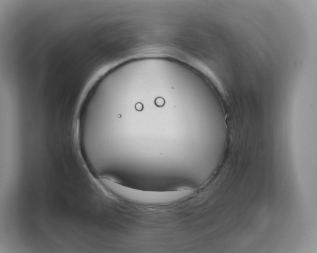 X0000111501472200908041152