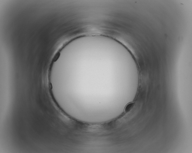 X0000111501477200908041152