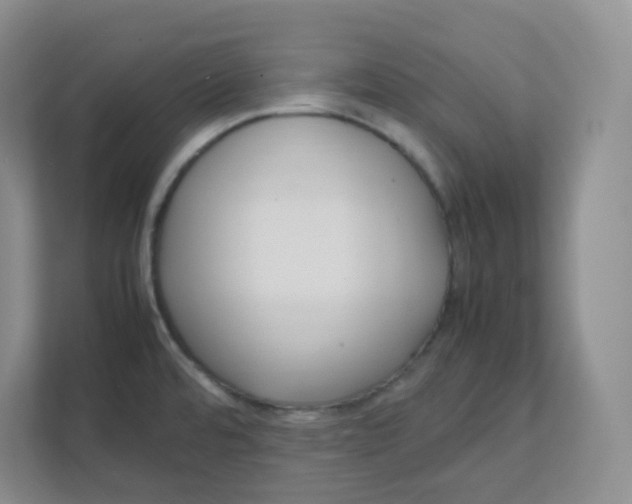 X0000111501480200908041152