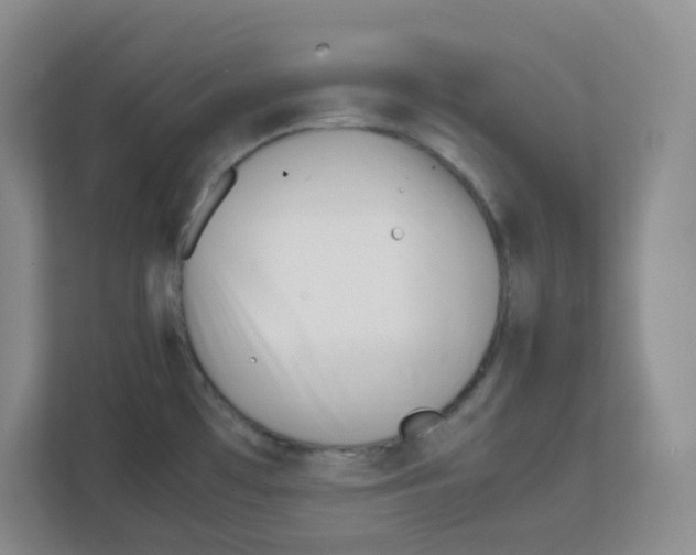 X0000111501481200908041152