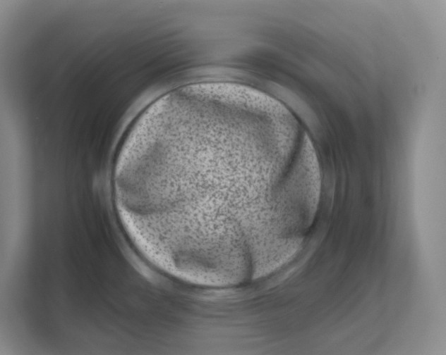 X0000111501482200908041152