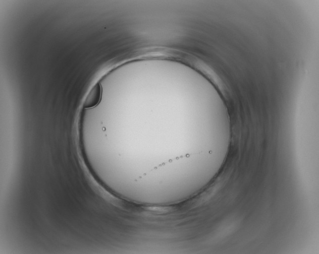 X0000111501483200908041152