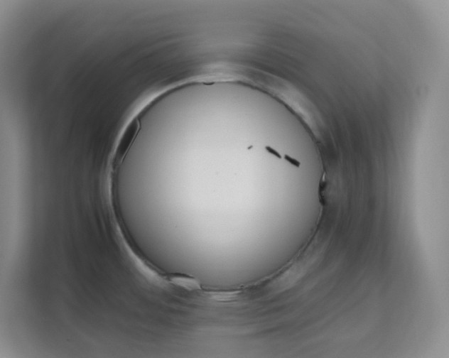 X0000111501484200908041152