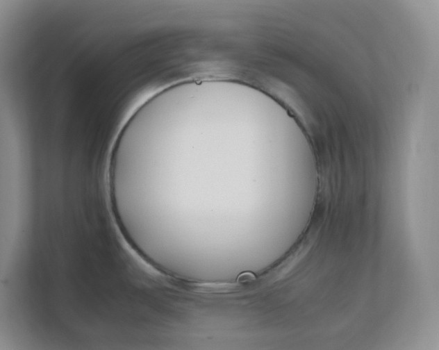 X0000111501487200908041152