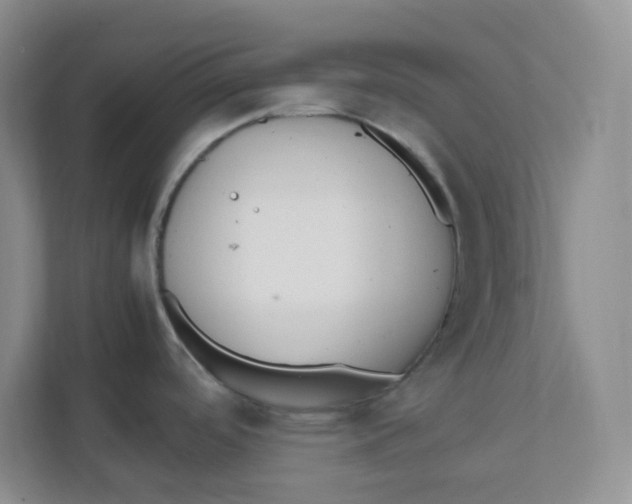 X0000111501488200908041152