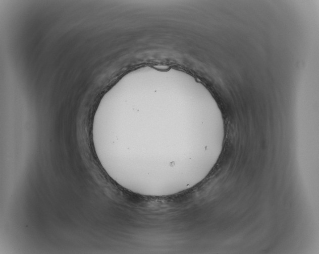 X0000111501489200908041151