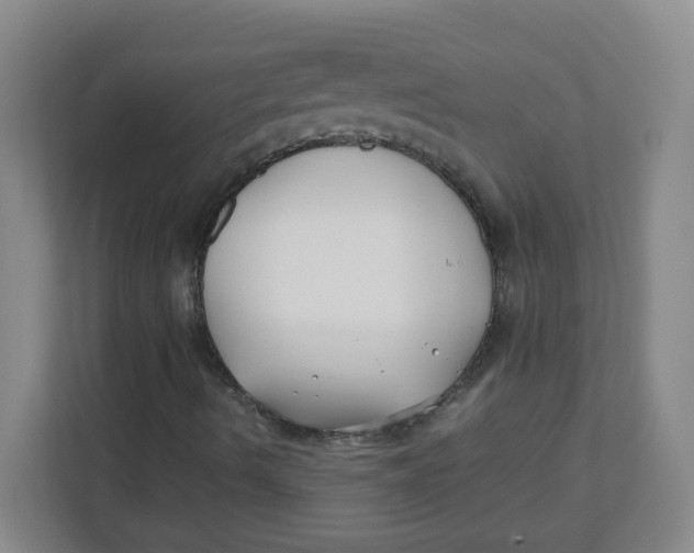 X0000111501490200908041151