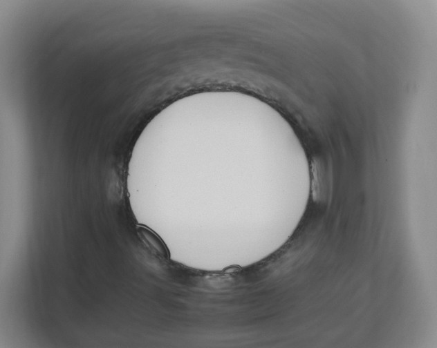 X0000111501491200908041151