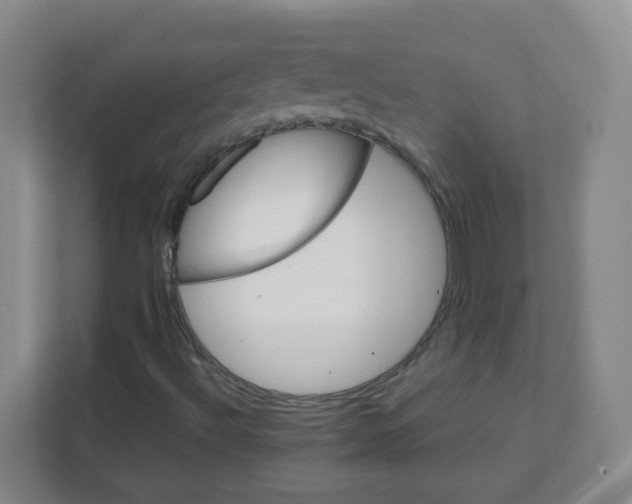 X0000111501492200908041151