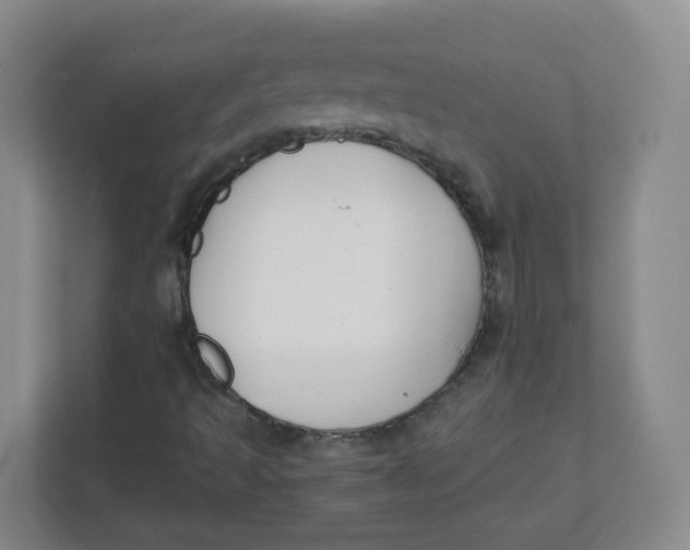 X0000111501493200908041151