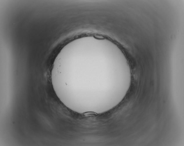 X0000111501495200908041151