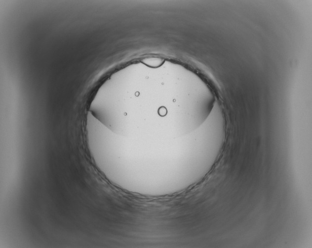 X0000111501496200908041151