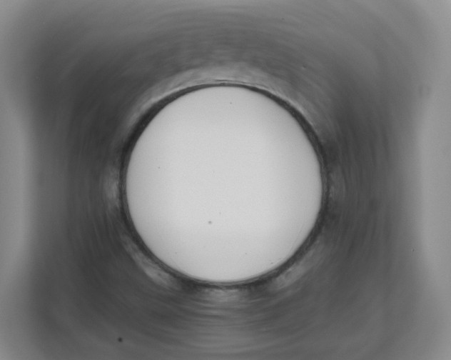 X0000111501499200908041152