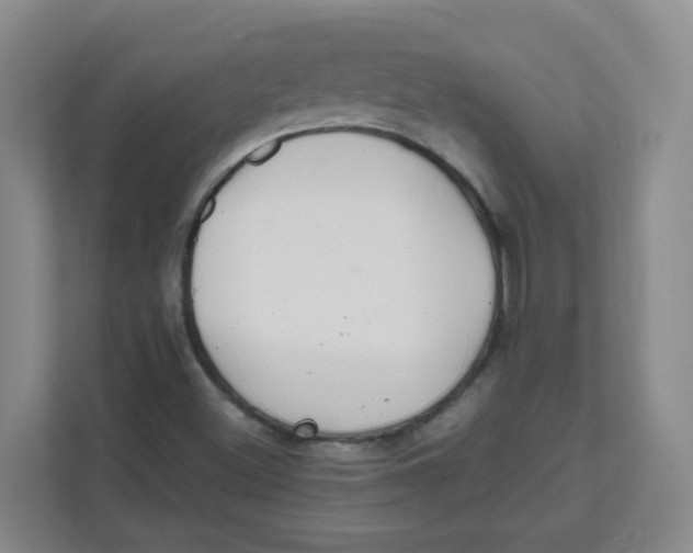 X0000111501500200908041152