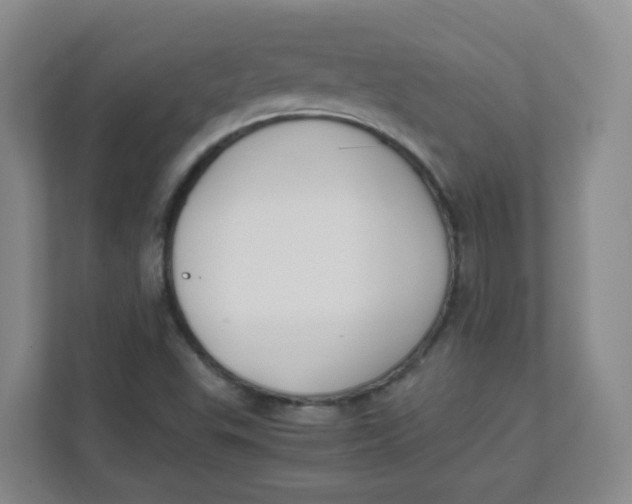 X0000111501503200908041152