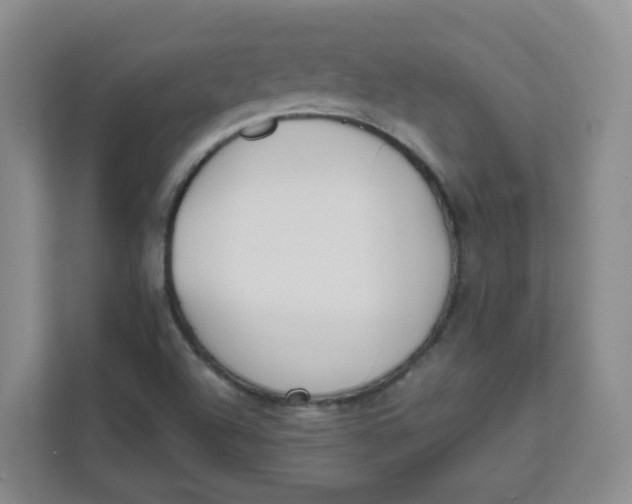 X0000111501504200908041152