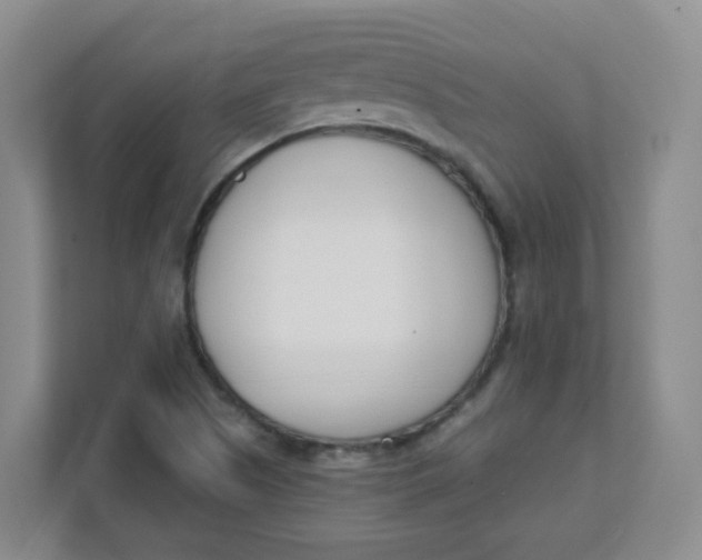 X0000111501505200908041152