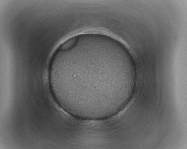 X0000111501506200908041152