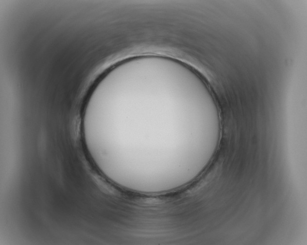 X0000111501507200908041152