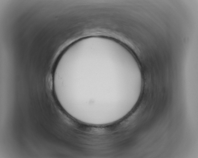 X0000111501509200908041152