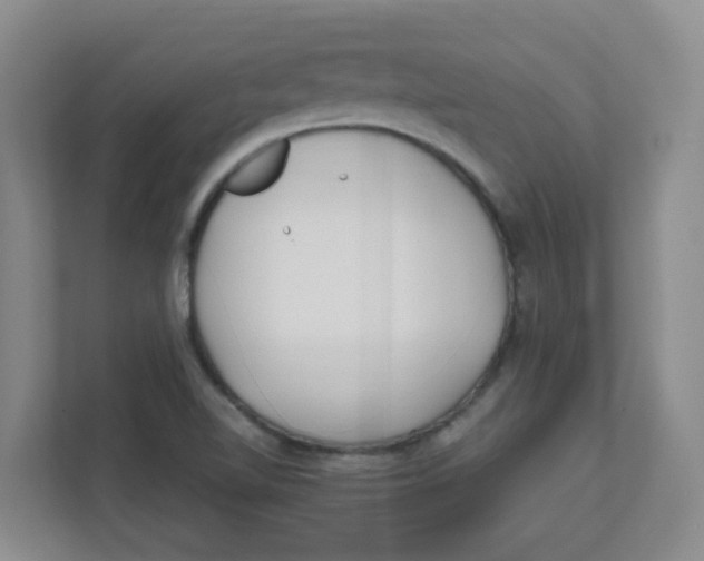 X0000111501510200908041152