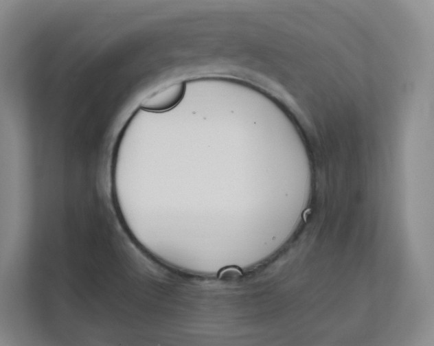 X0000111501512200908041152