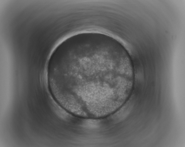 X0000111501514200908041152