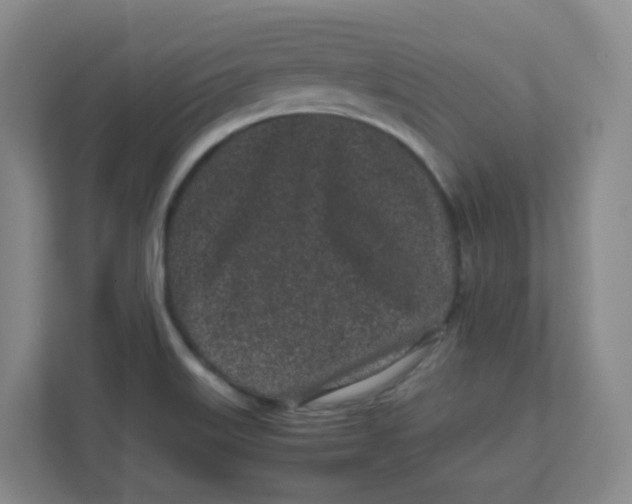 X0000111501515200908041152