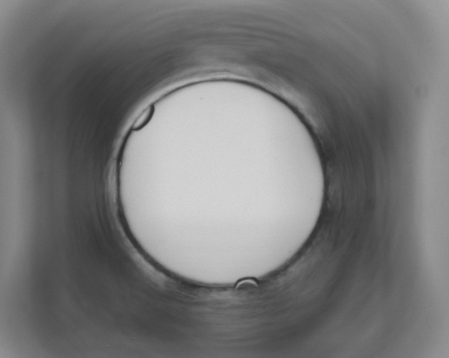 X0000111501516200908041152