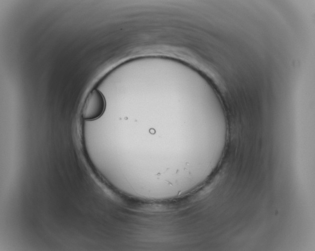 X0000111501517200908041152