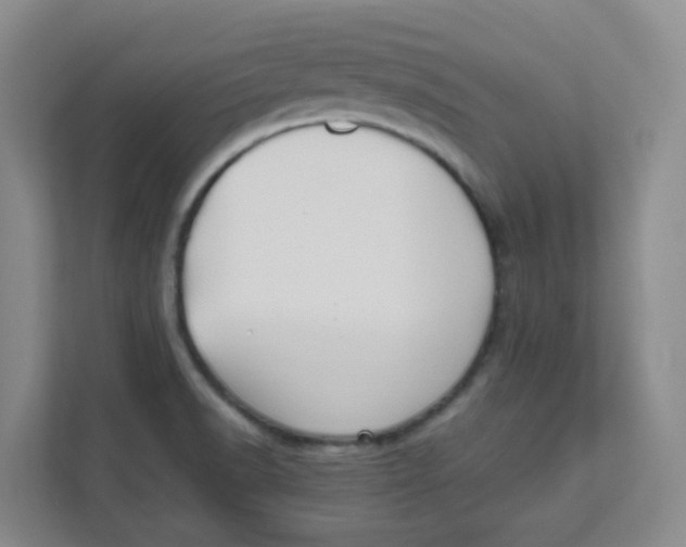 X0000111501518200908041152