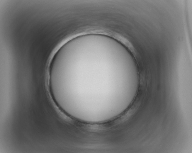 X0000111501520200908041152