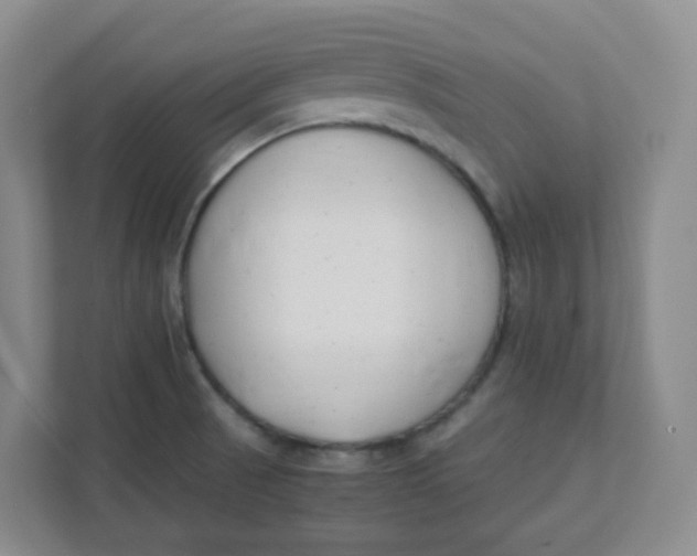 X0000111501521200908041152