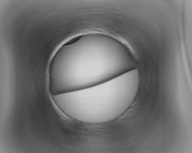 X0000111501524200908041152