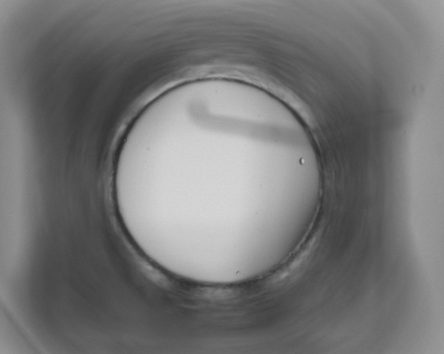 X0000111501525200908041152