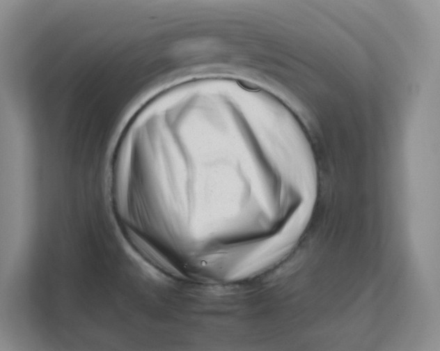 X0000111501527200908041152