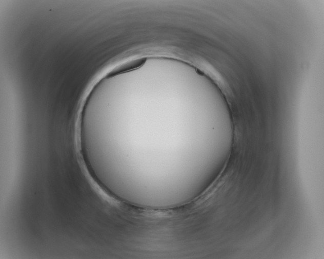 X0000111501528200908041152