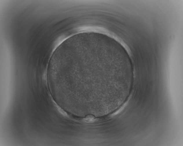 X0000111501529200908041152