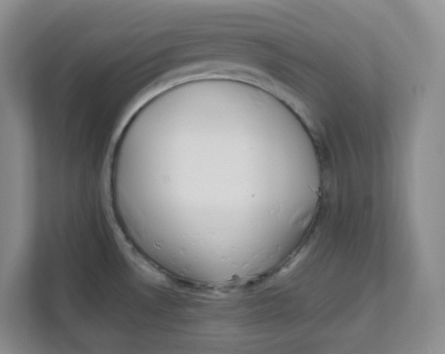 X0000111501530200908041152