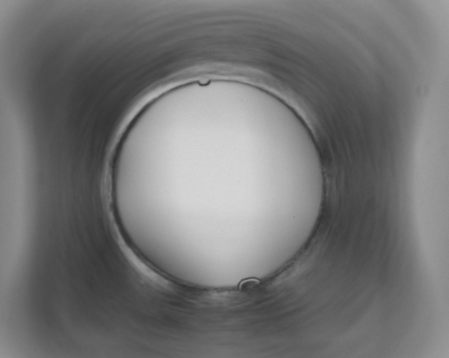 X0000111501531200908041152