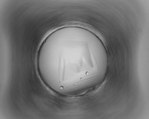 X0000111501533200908041152