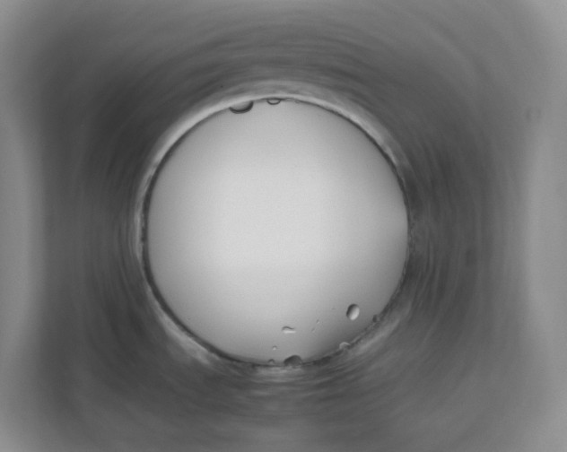 X0000111501535200908041152