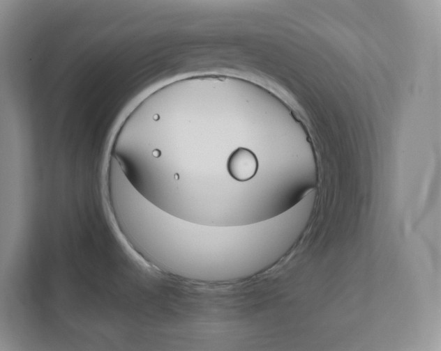 X0000111501536200908041152