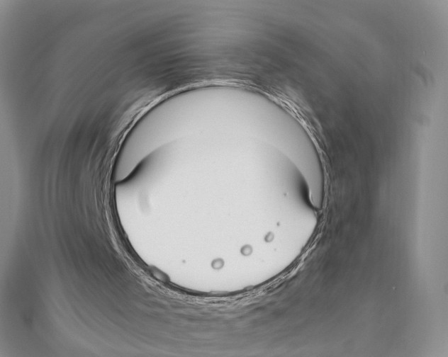 X0000111500001200908111257