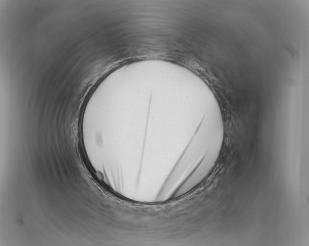 X0000111500002200908111257