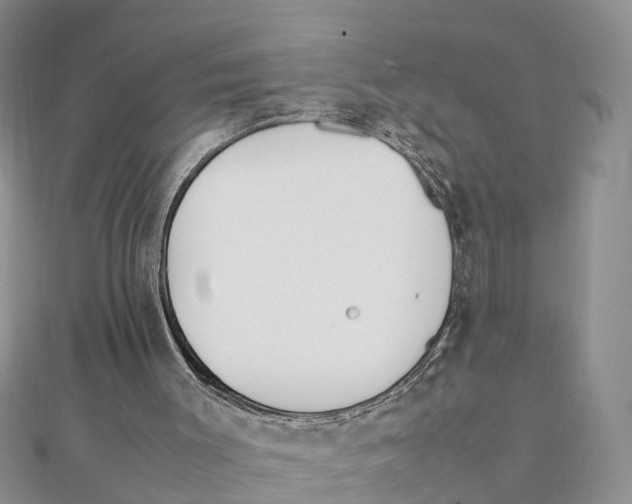 X0000111500003200908111257