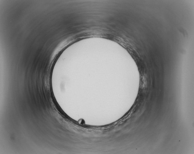 X0000111500004200908111257